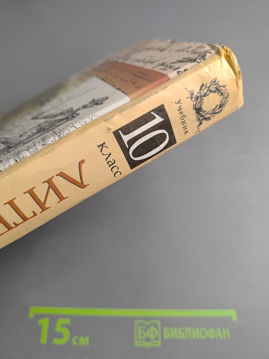 Литература 10 класс