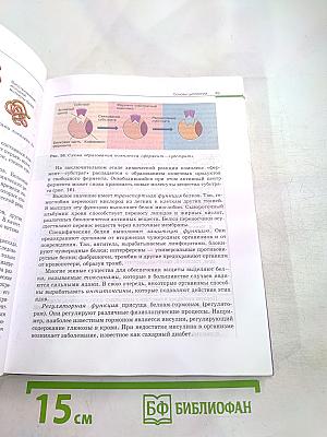 Биология. Общая биология. 10-11 классы