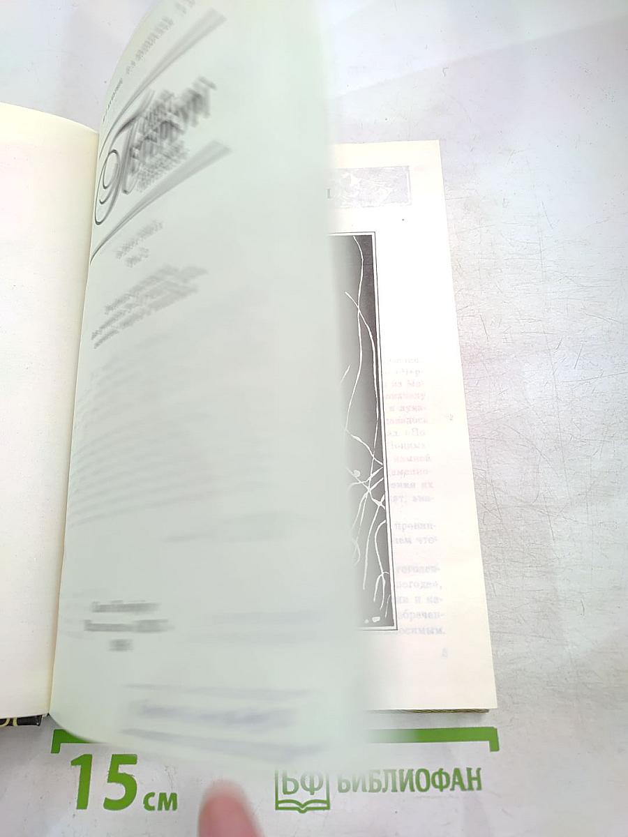 Санкт-Петербург в русской литературе