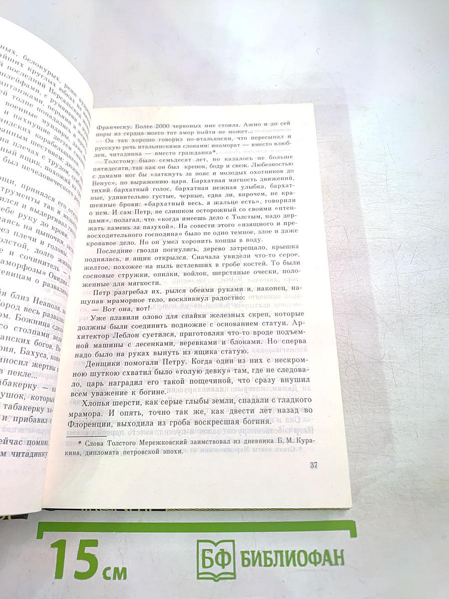 Санкт-Петербург в русской литературе