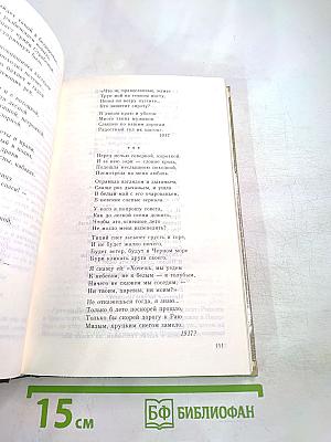 Санкт-Петербург в русской литературе