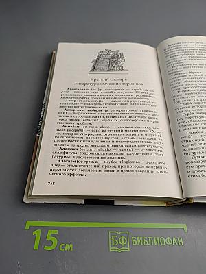 Литература 11 класс, Часть первая