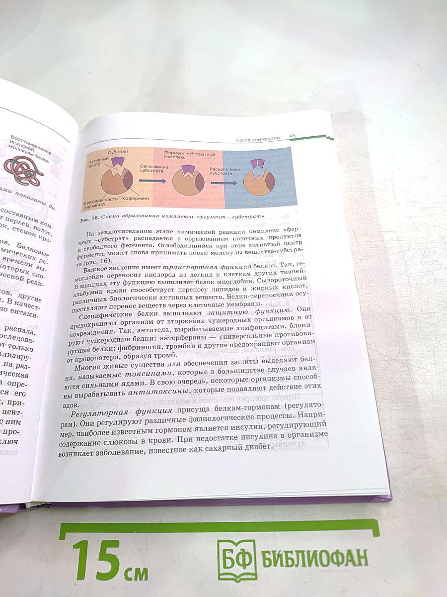 Биология. Общая биология. 10-11 классы