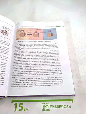 Биология. Общая биология. 10-11 классы