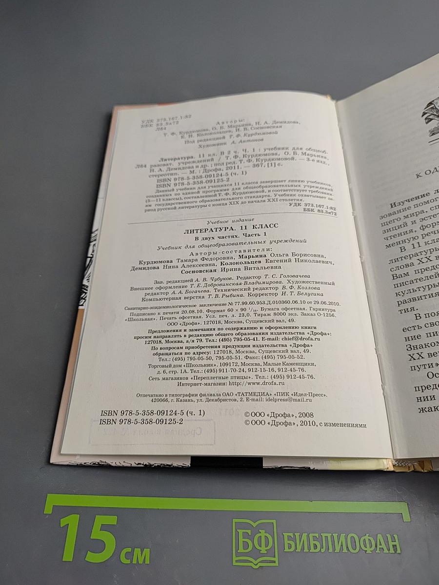 Литература. 11 класс. Часть 1
