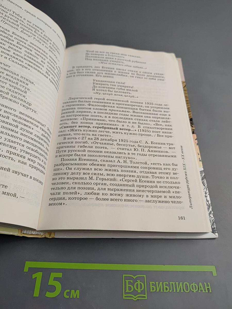 Литература. 11 класс. Часть 1