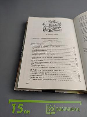 Литература. 11 класс. Часть 1