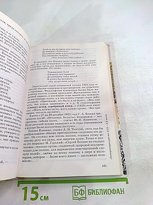 Литература. 11 класс. Учебник. Часть первая