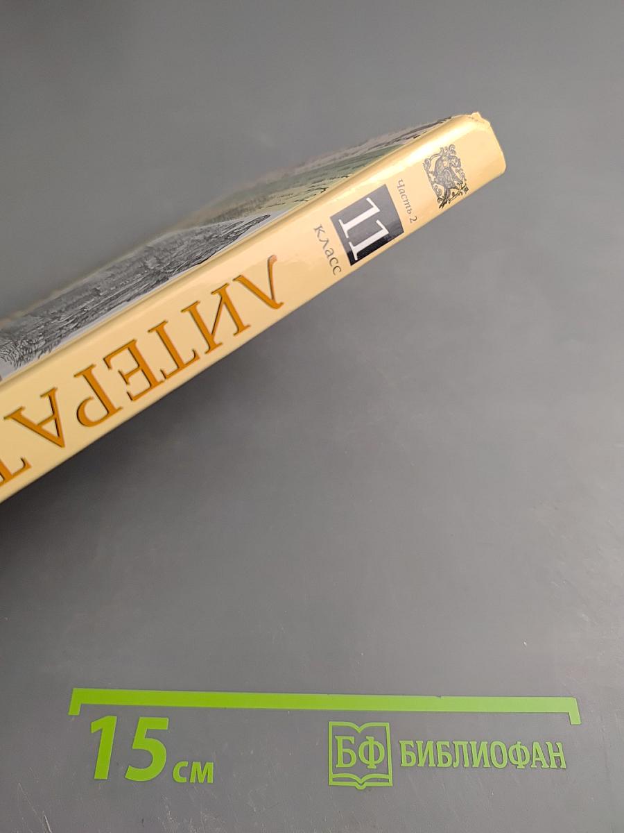 Литература 11 класс Часть вторая