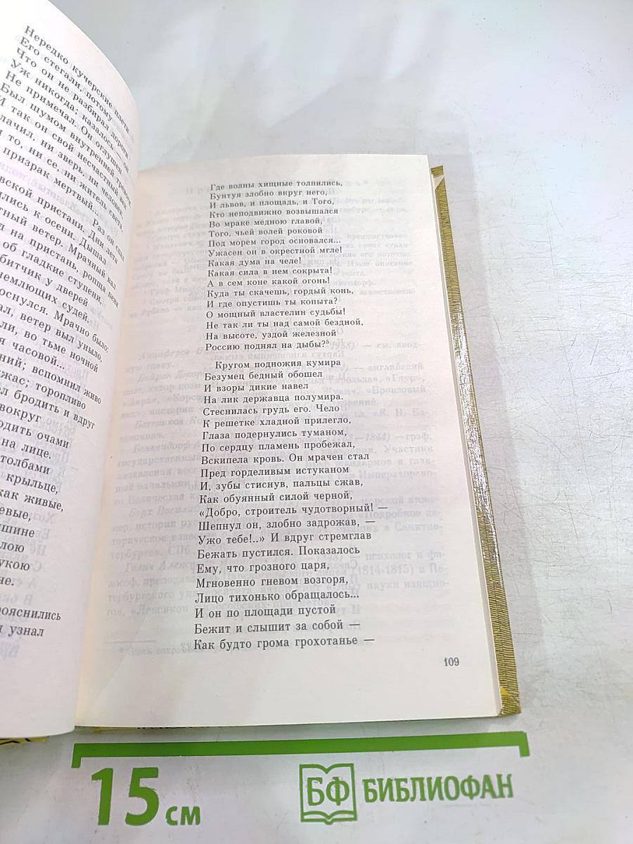 Санкт-Петербург в русской литературе. В двух томах. Том 1. Учебник-хрестоматия для учащихся 9-11 классов
