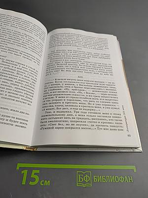 Литература. 9 класс. Учебник-хрестоматия. Часть вторая