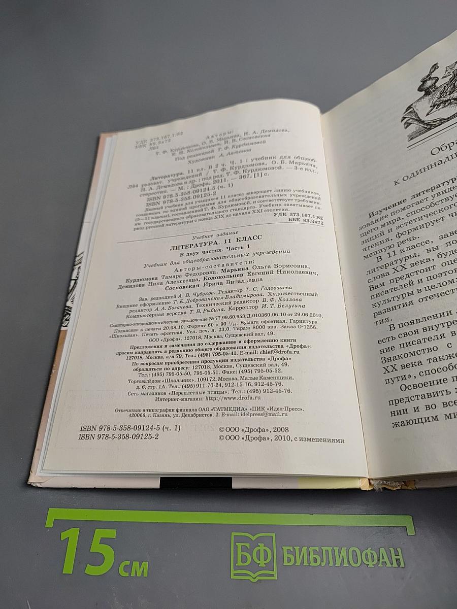 Литература 11 класс Часть первая