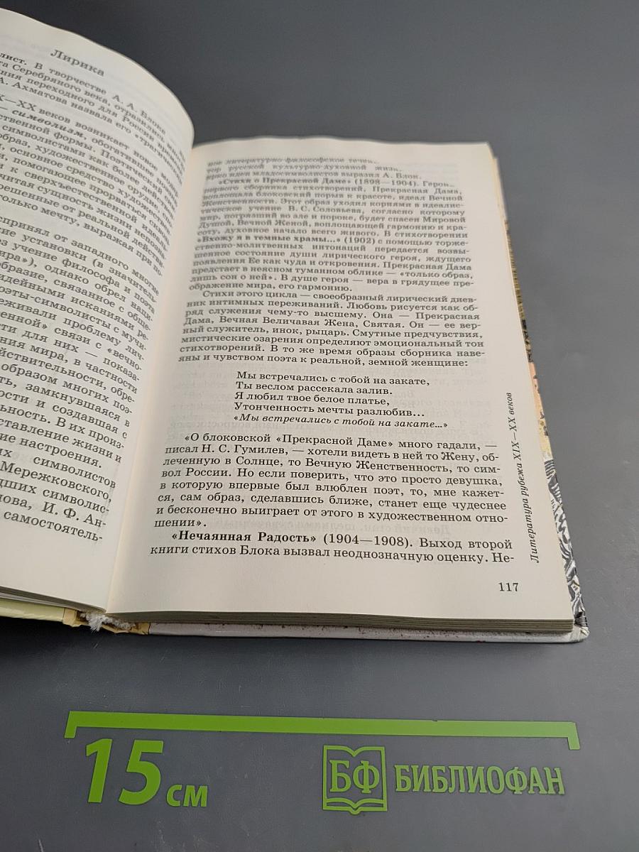 Литература 11 класс Часть первая