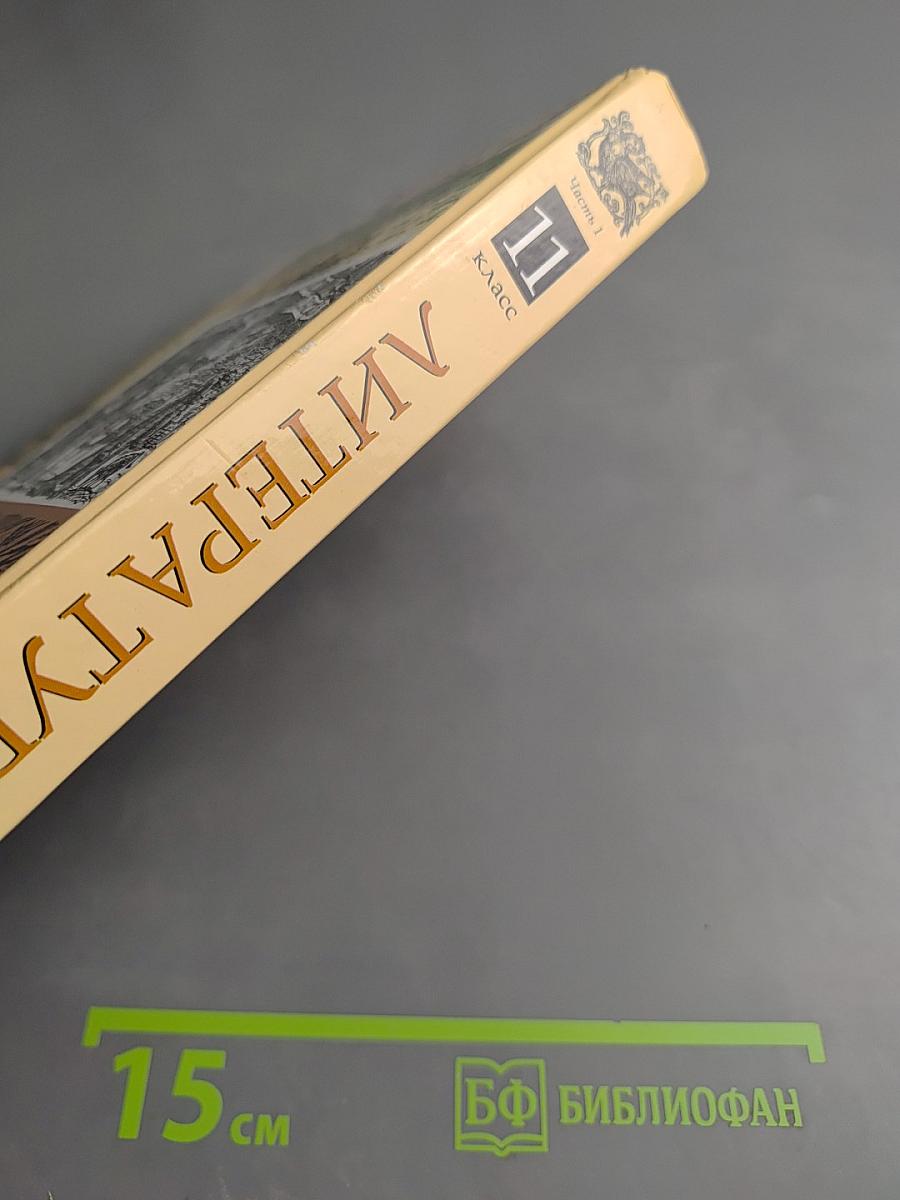 Литература 11 класс Часть первая