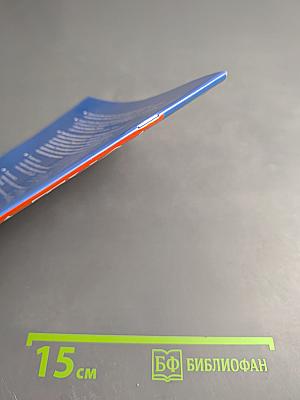 Тесты по литературе. Часть 2. 9 класс