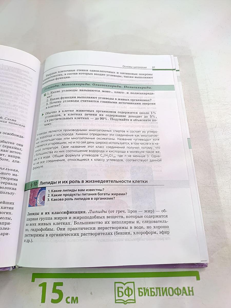 Биология. Общая биология. 10-11 классы