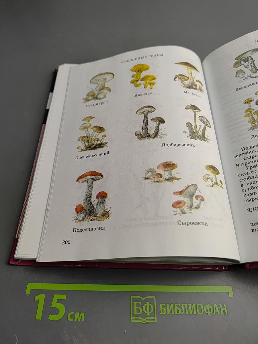 Основы безопасности жизнедеятельности, 6 класс