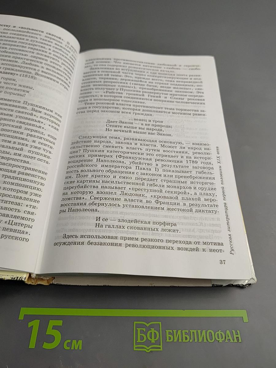 Литература 10 класс