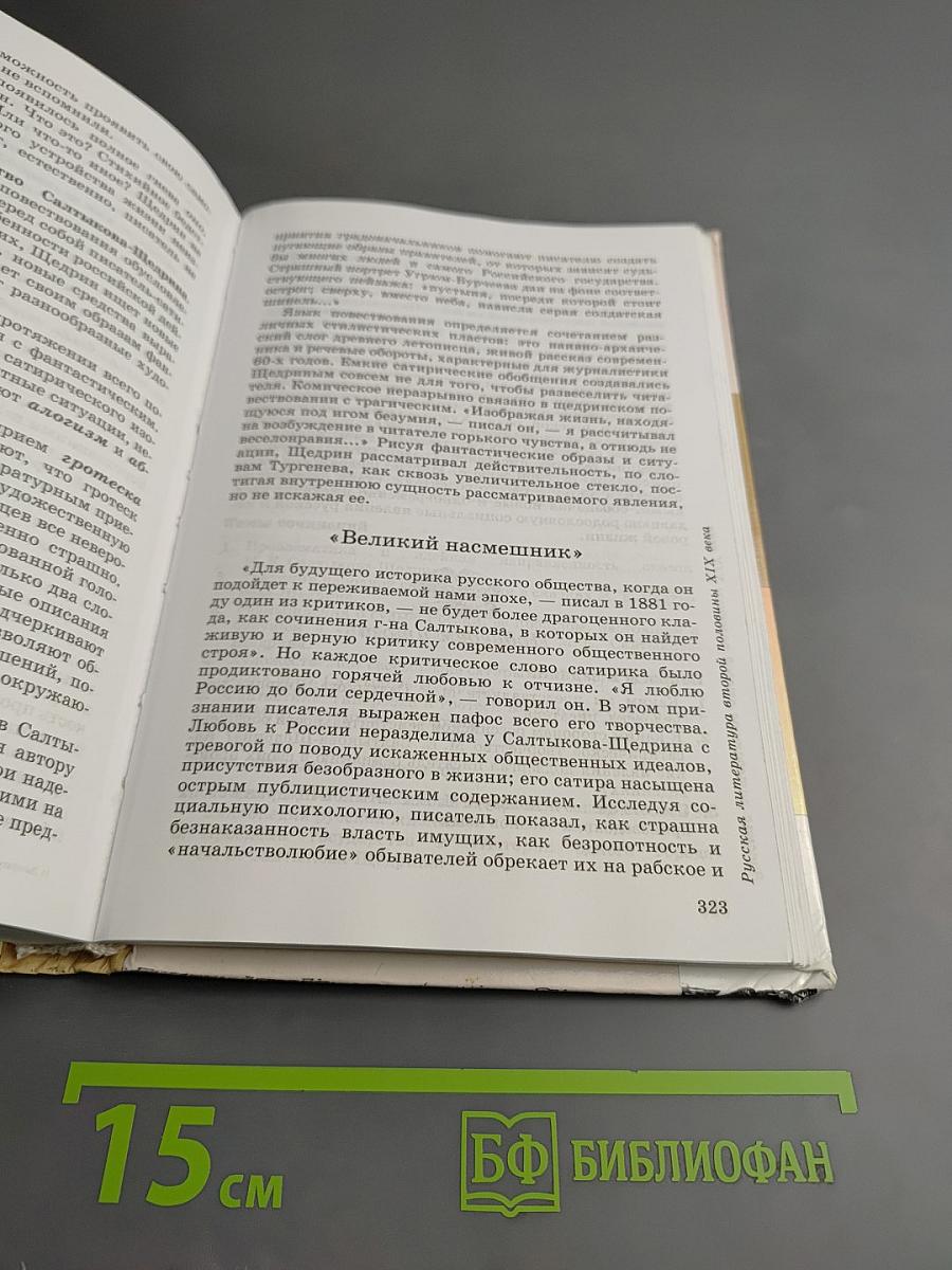 Литература 10 класс