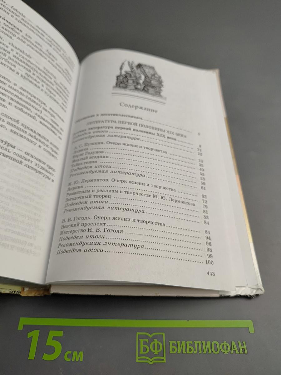 Литература 10 класс