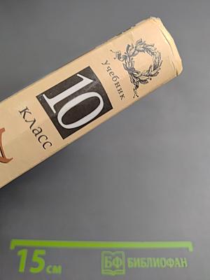 Литература 10 класс