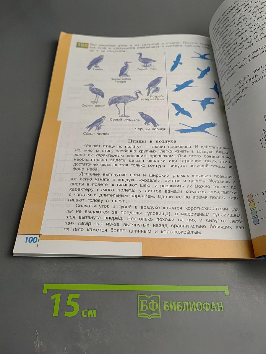 Информатика 4 класс, Часть 3