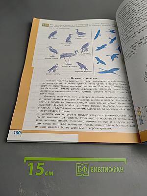 Информатика 4 класс, Часть 3