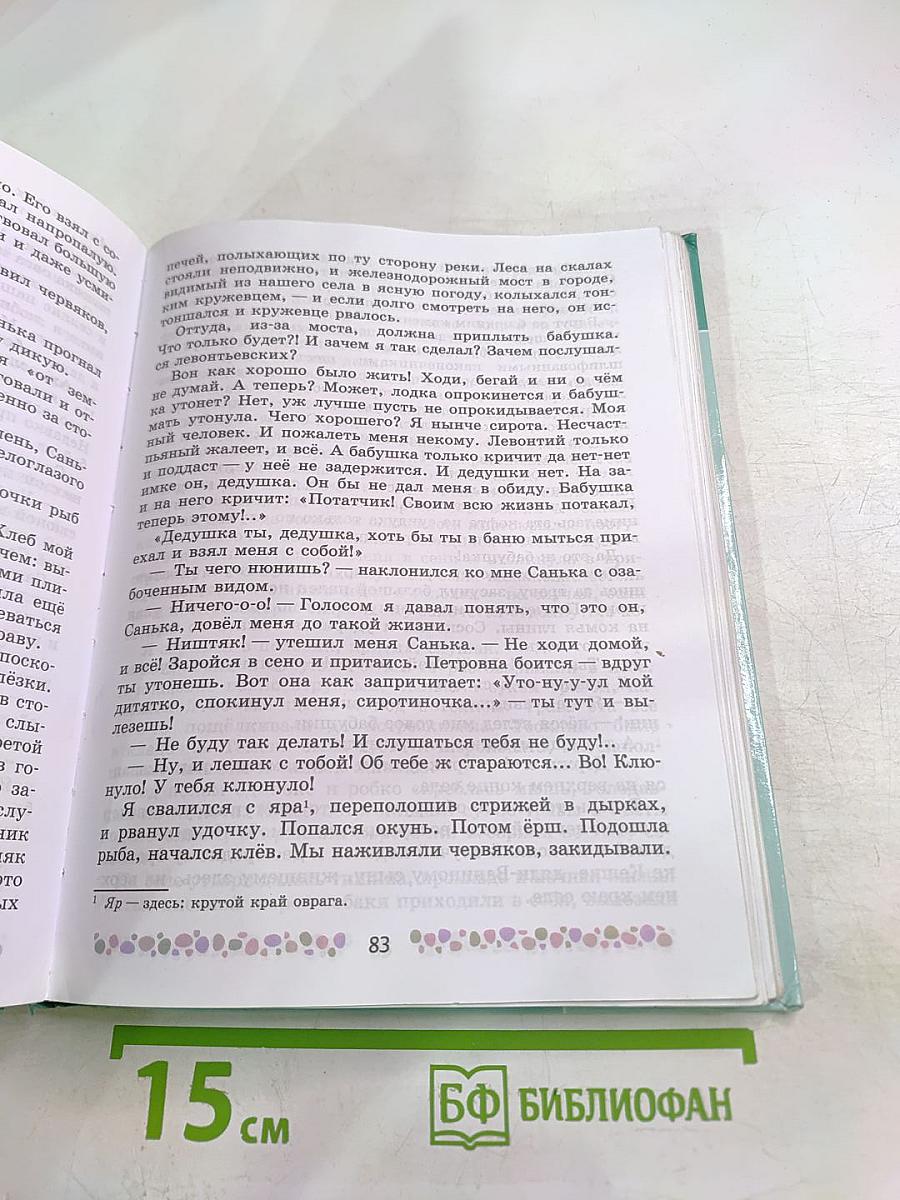 Литература, 6 класс, Часть 2