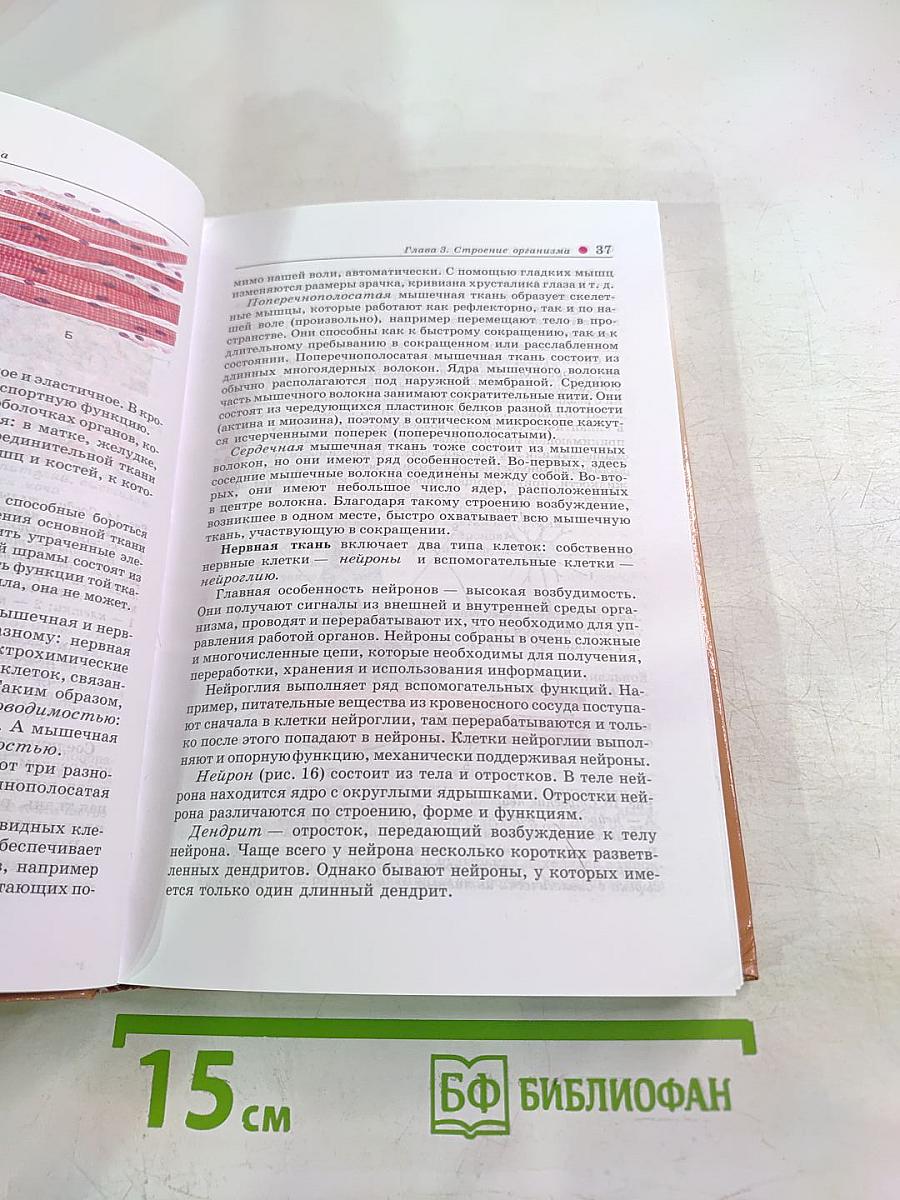 Биология. Человек. 8 класс