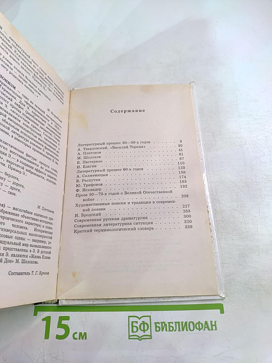 Русская литература XX века 11 класс, Часть 2