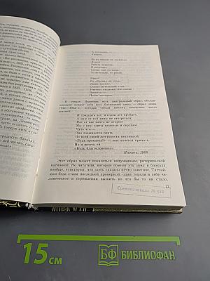 Санкт-Петербург в русской литературе. Учебник-хрестоматия для 9-11 классов. Том 2