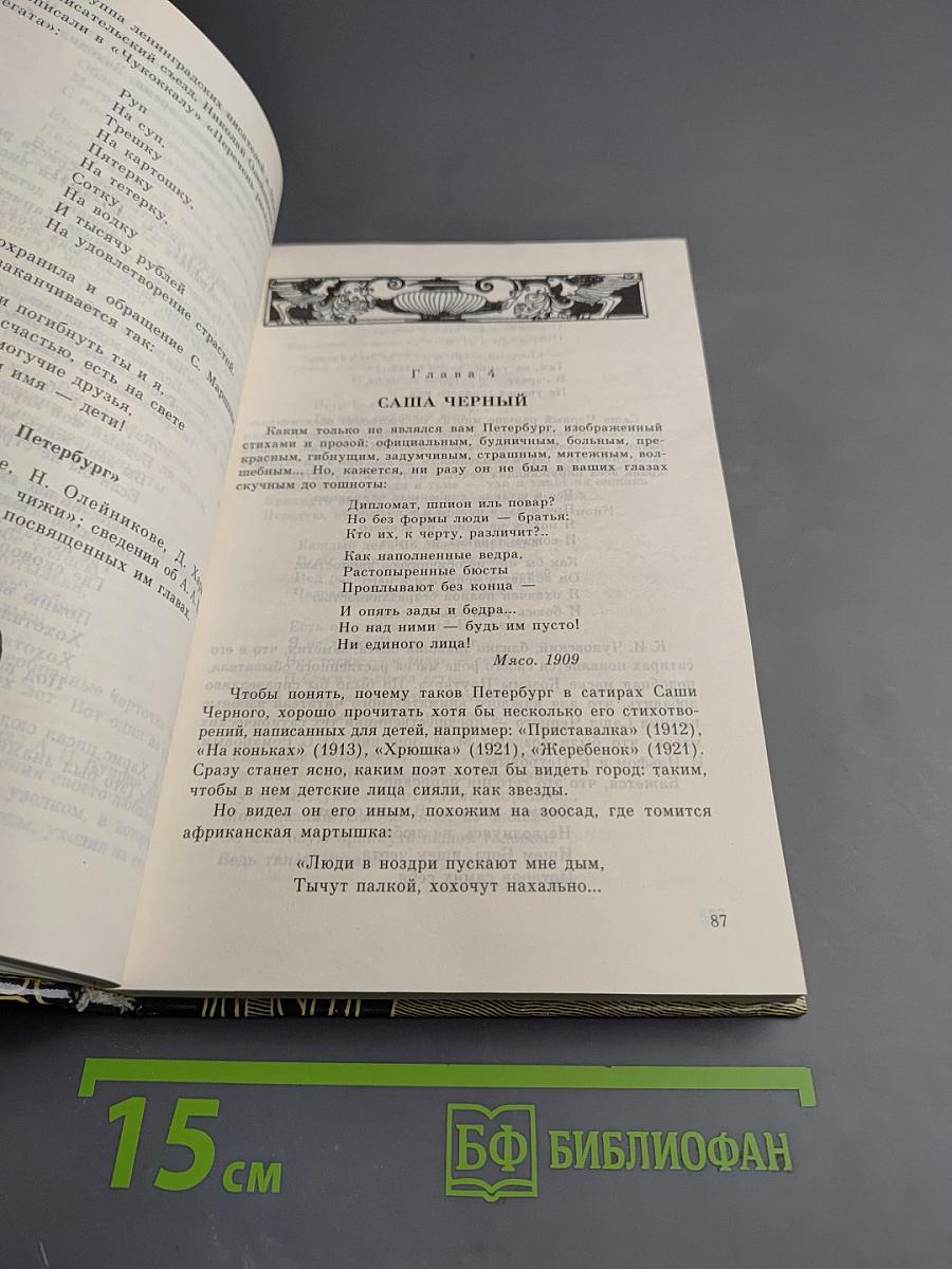 Санкт-Петербург в русской литературе. Учебник-хрестоматия для 9-11 классов. Том 2