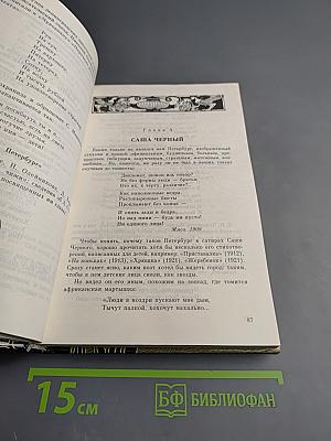 Санкт-Петербург в русской литературе. Учебник-хрестоматия для 9-11 классов. Том 2