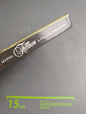 Санкт-Петербург в русской литературе. Учебник-хрестоматия для 9-11 классов. Том 2