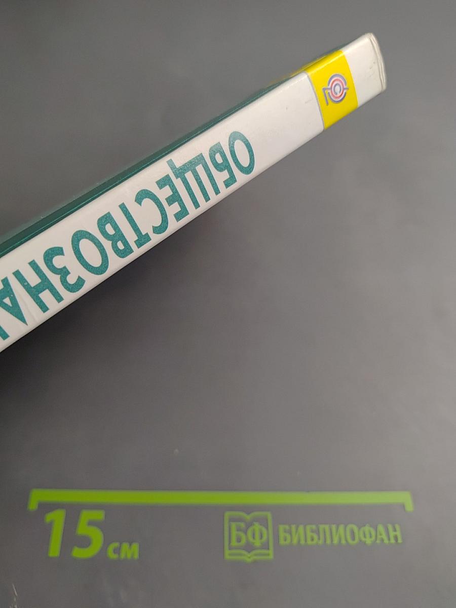 Обществознание 11 класс