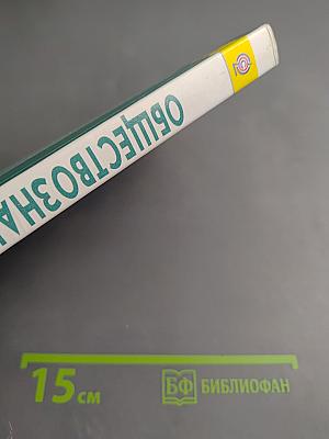 Обществознание 11 класс