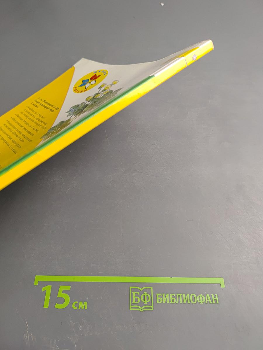 Окружающий мир 1 класс Часть 2