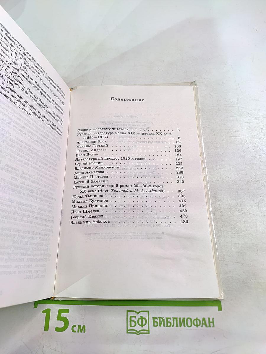 Русская литература XX века. 11 класс. Часть 1