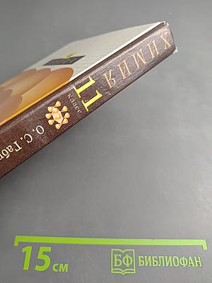 Химия 11 класс