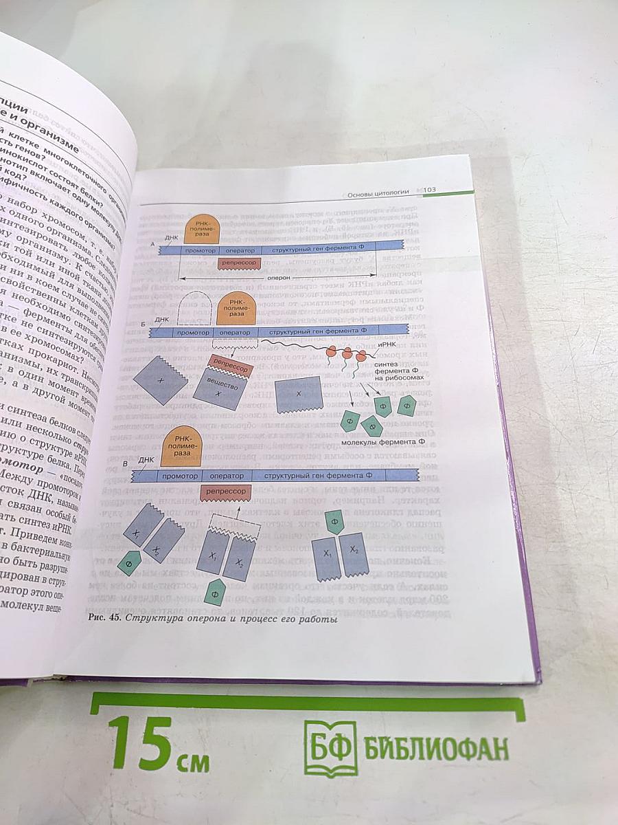 Биология. Общая биология. 10-11 классы