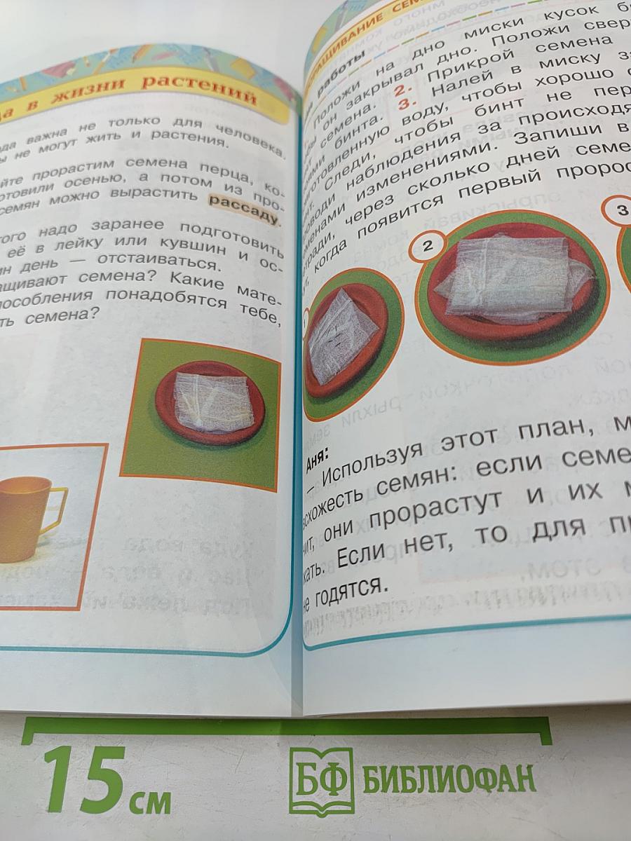Технология 1 класс