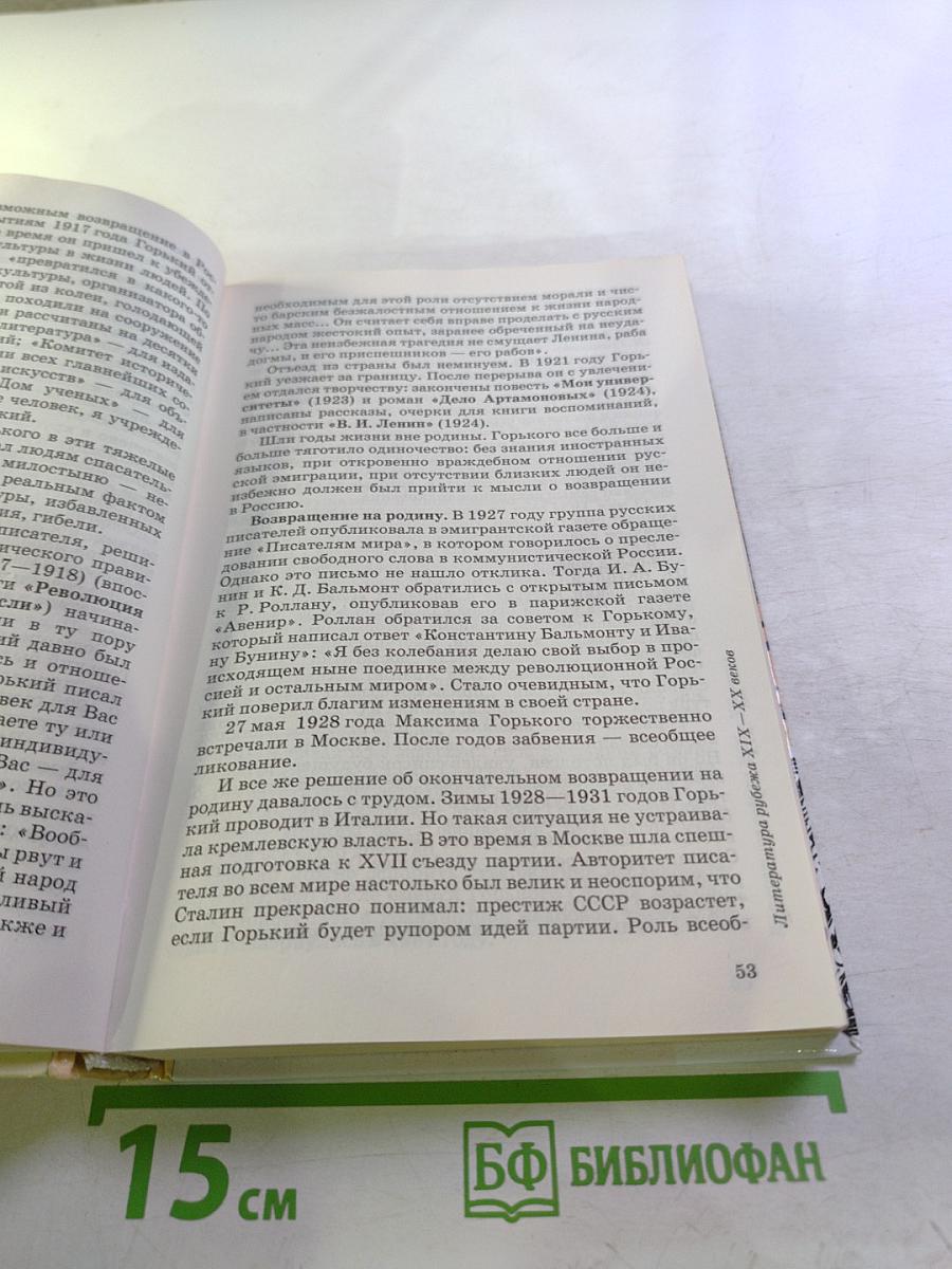 Литература. 11 класс. Часть первая