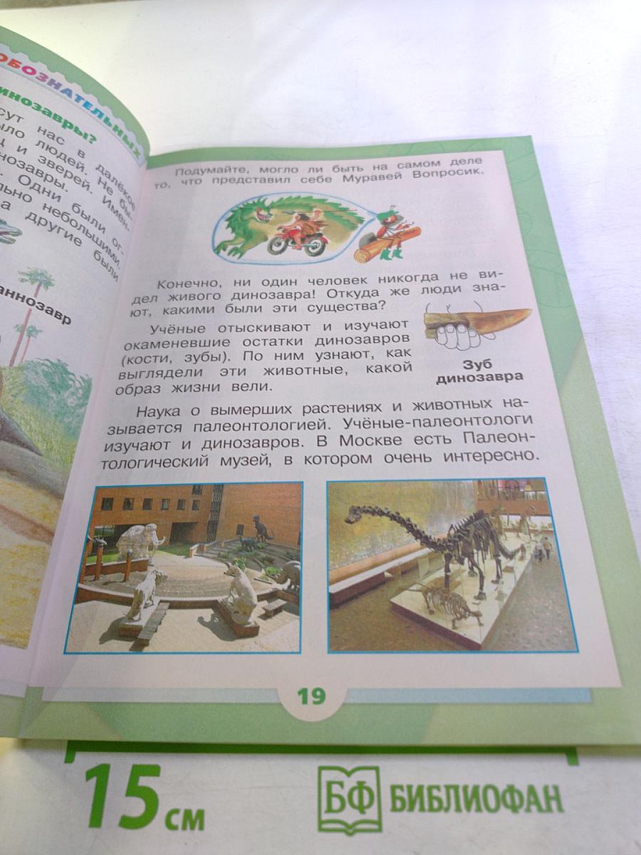 Окружающий мир 1 класс, Часть 2