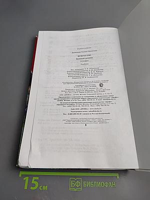 Искусство 11 класс Базовый уровень