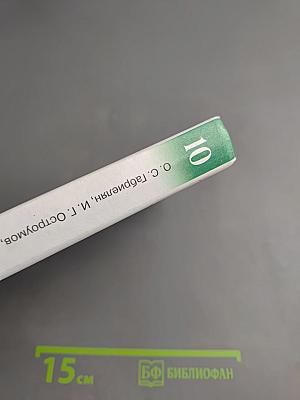 Химия 10 класс. Углубленный уровень