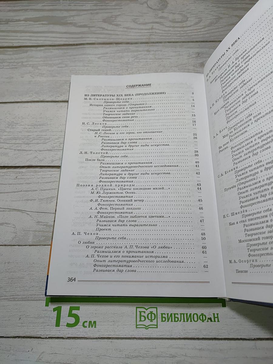 Литература. 8 класс. Учебник. Часть 2