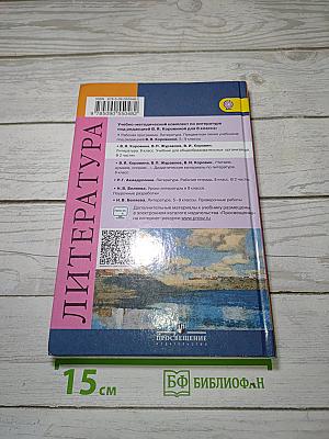 Литература. 8 класс. Учебник. Часть 2