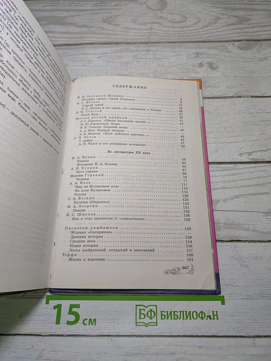 Литература. 8 класс. Часть 2