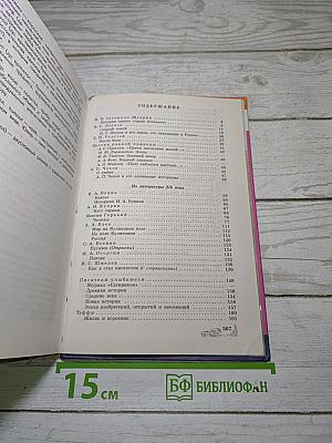 Литература. 8 класс. Часть 2