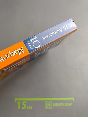 Мировая художественная культура. От истоков до XVII века. 10 класс. Базовый уровень